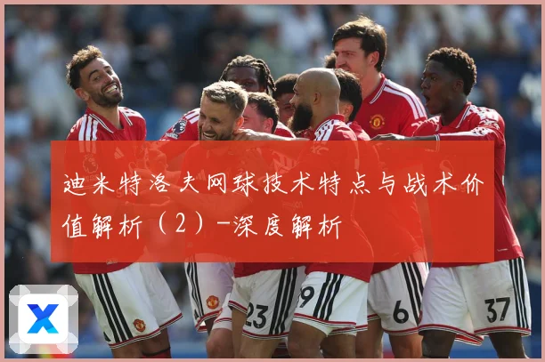 迪米特洛夫网球技术特点与战术价值解析（2）-深度解析