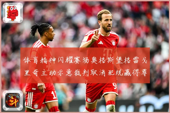 体育精神闪耀赛场奥格斯堡格雷戈里奇主动示意裁判取消犯规赢得尊赛事前瞻-深度解析